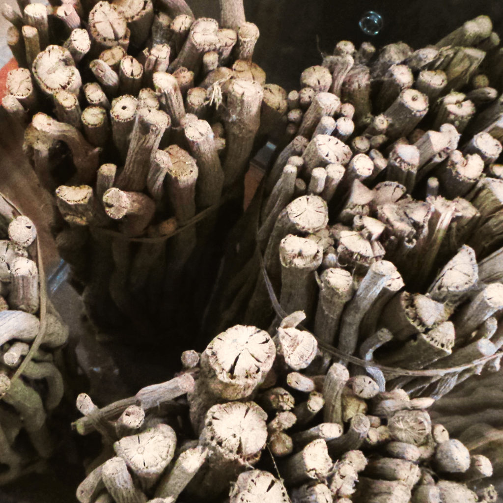 royal borneo Spicebush Root 山胡椒根
