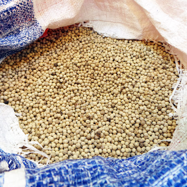 royal borneo white peppercorn 白胡椒