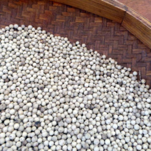 royal borneo white peppercorn 白胡椒