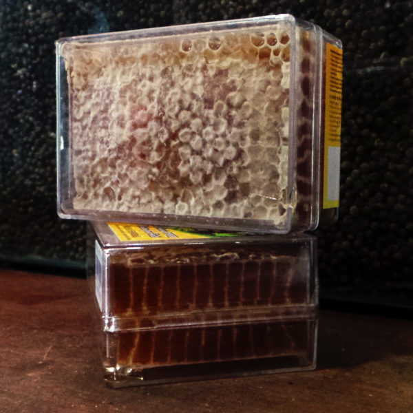 royal borneo honeycomb